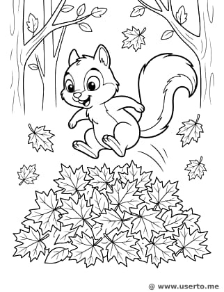 다람쥐와 가을 낙엽