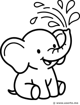 아기 코끼리 목욕