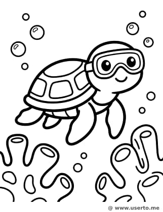 Tartaruga de Snorkel na Grande Barreira