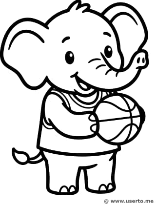 농구왕 아기 코끼리