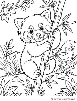 A Aventura de Bambu do Panda Vermelho