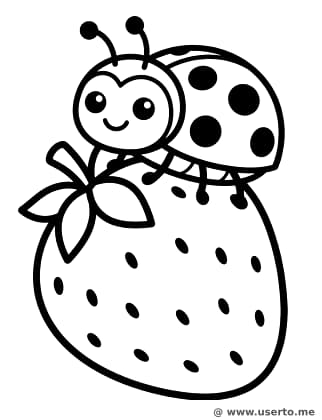 La merienda de fresa de la mariquita