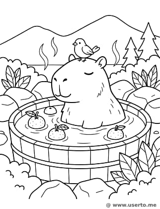 Spa de Cítricos del Carpincho