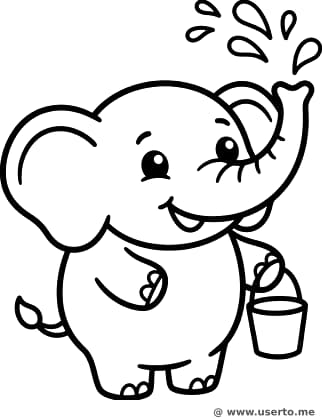 Splash del Elefante Holi