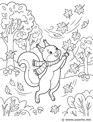 Das Eichhörnchen im Herbstwind