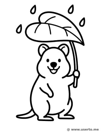 Quokkas riesiger Blattschirm