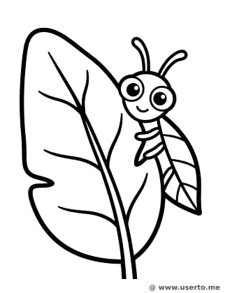 Leaf Bug's Secret Game