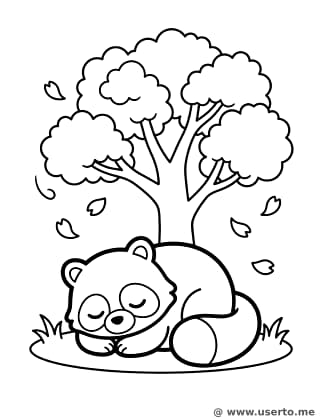 La siesta de Tanuki entre cerezos