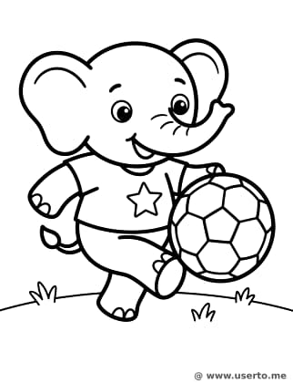 코끼리 축구 스타