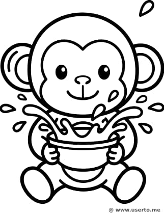 송크란 물놀이 원숭이