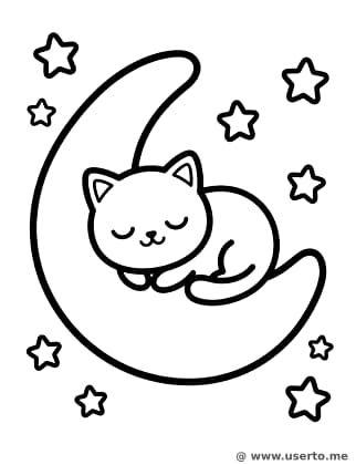 달님 위 졸린 아기 고양이