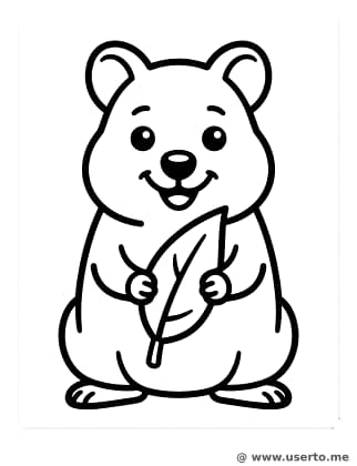 Smiling Quokka's Snack