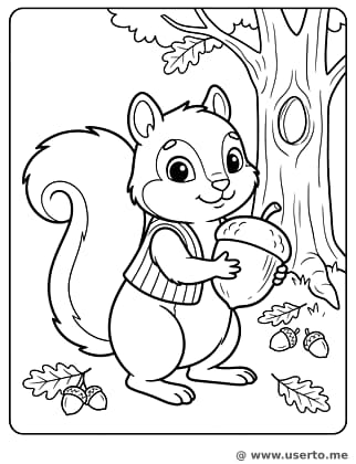 다람쥐의 숲속 보물