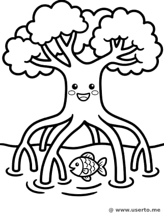 Die große Umarmung der Mangrove