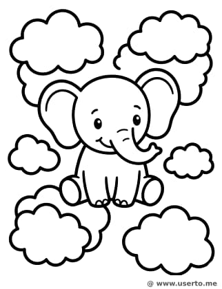 Elefante Feliz no Festival Holi