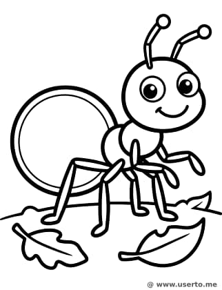 Das Festmahl der glücklichen Honigtopfameise