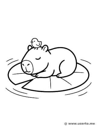 Capybara and Chick Nap