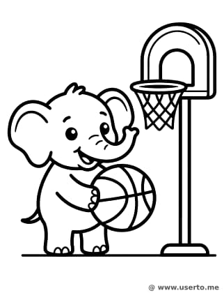 Elephant Basketball Fun