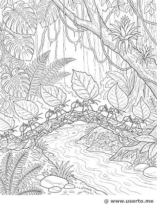 가위개미들의 살아있는 다리