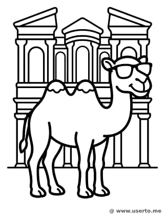 Camello Genial en Petra