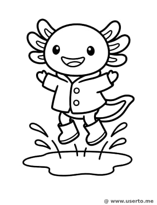 Ajolote Salpicando en la Lluvia