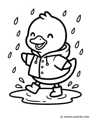 Patinho feliz na chuva