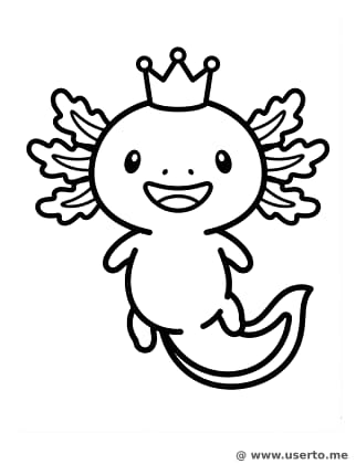 웃는 아홀로틀의 파티