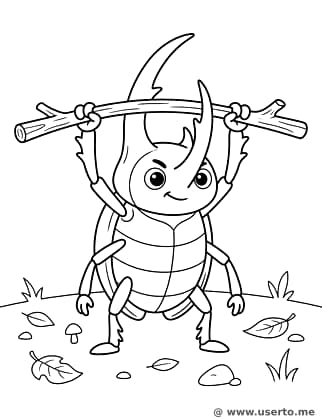 천하장사 헤라클레스 장수풍뎅이 체육관