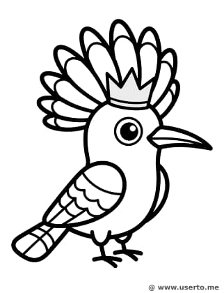 La corona elegante de la abubilla real