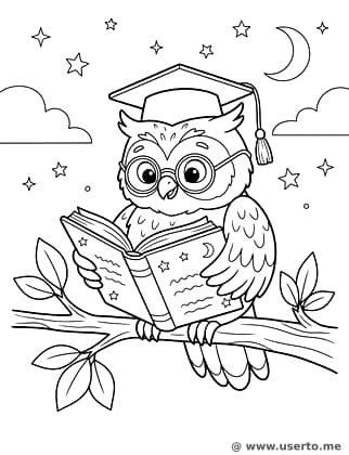 A Coruja Sábia e o Livro Mágico