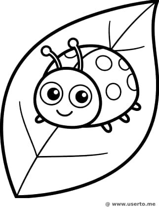 La siesta en la hoja de la mariquita feliz