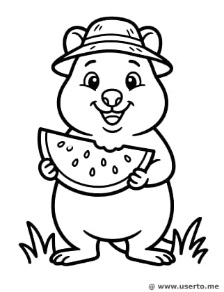 Quokka's Sunny Picnic