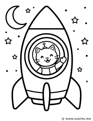 Space Cat Explorer