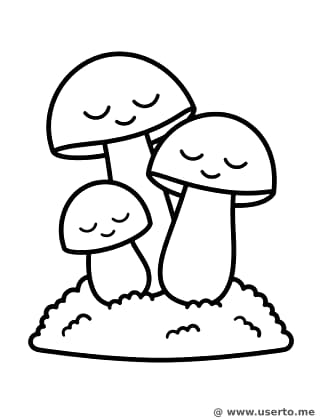 A Cama de Musgo dos Cogumelos Sonolentos