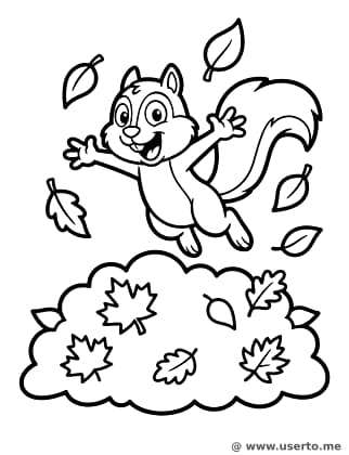 Squirrel's Autumn Leaf Pile