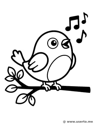 Das Morgenlied des kleinen Vogels