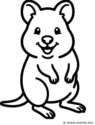 Quokka's Big Cheerful Smile
