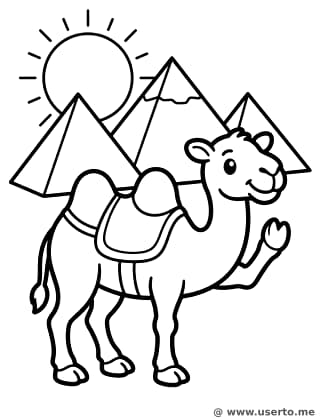 피라미드 앞 친절한 낙타