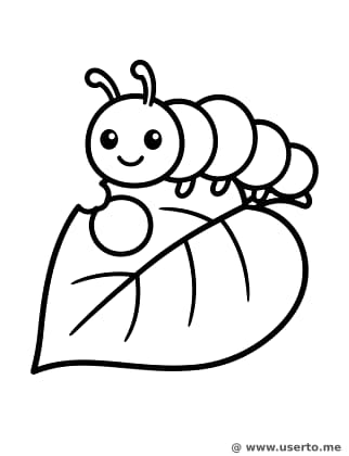 O Banquete da Lagarta Faminta