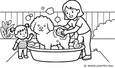 Suds and Paws