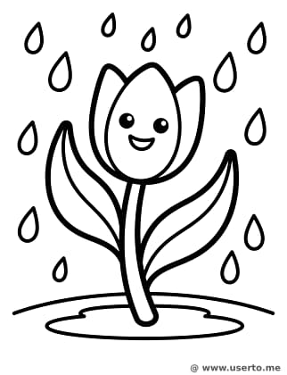 A Tulipa Dançante na Chuva