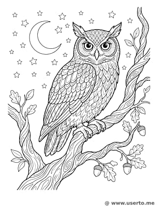 지혜로운 부엉이의 별이 빛나는 밤