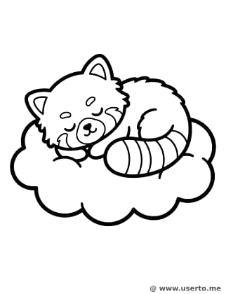 El panda rojo dormilón sobre una nube