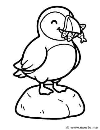 La hora del bocadillo de pescado del frailecillo