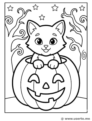 Gato y Calabaza de Halloween