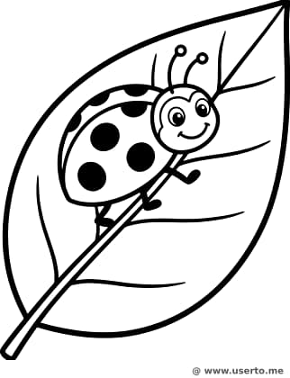 Mariquita amistosa en una hoja