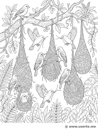 A casa na árvore dos pássaros tecelões