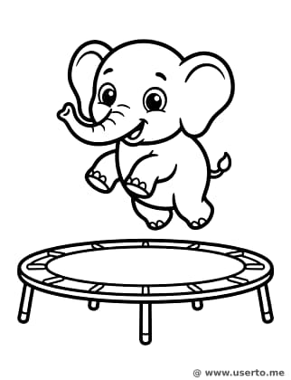El salto en trampolín del bebe elefante