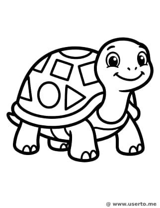 Amigo Tortuga con Patrones