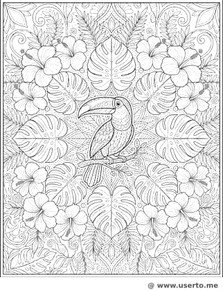 Mandala de tucán y selva tropical